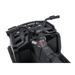 Elektrická Štvorkolka - 4x4 ATV WOLF - čierna